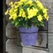 4 Pcs Summer Potted Plants, Artificial Flowers Outdoor Impatiens UV Resistant Silk Impatiens Flowers Yellow Faux Flowers Impatiens Bushes Artificial Impatiens for Pot Patio Lawn Garden Hanging Basket Porch Decor